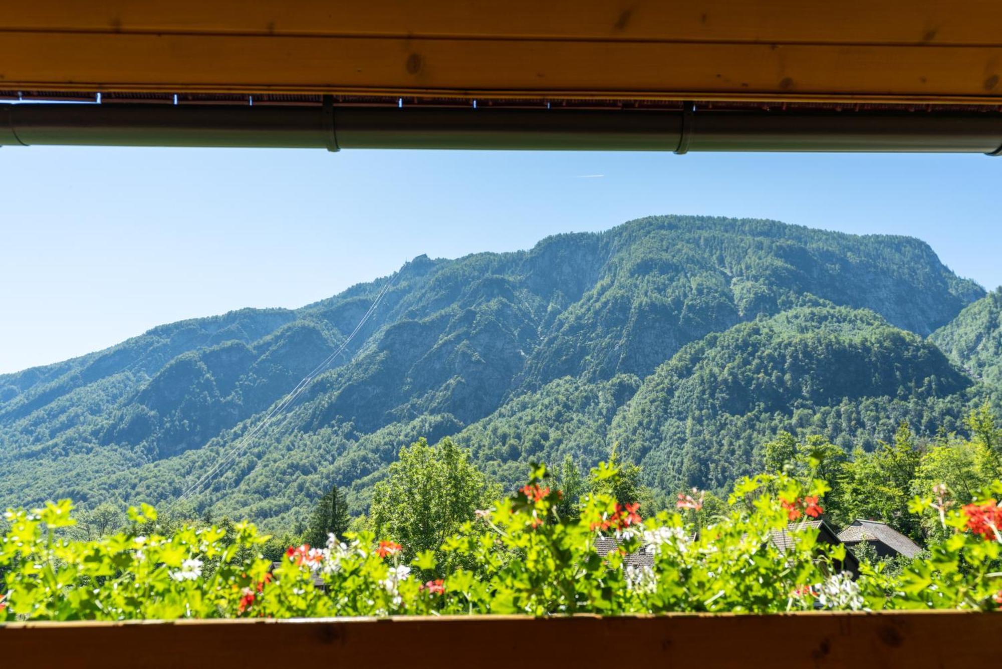 Alpik Chalets - Bohinj Quarto foto